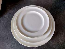 Freecycle Denby bone china plates