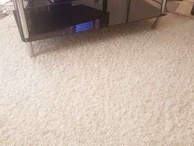 Freecycle Table