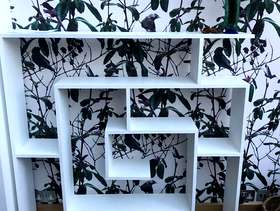 Freecycle Decorative shelf