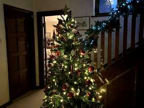 Freecycle Fake Christmas tree