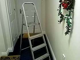 Freecycle Aluminium Step Ladder