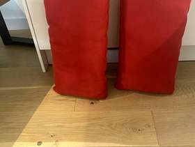 Freecycle Two pillows