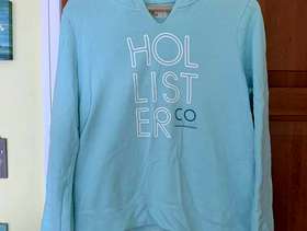 Freecycle Ladies Hollister light hooded jumper