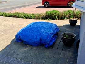 Freecycle Kiln dried sand