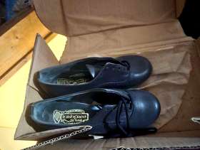 Freecycle Irish dancing trophies and shoes