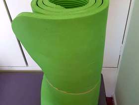 Freecycle Exercise mat