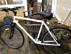 Freecycle Viking Cycle