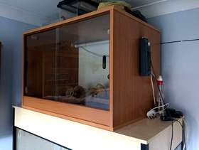 Freecycle Vivarium (medium)