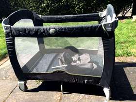 Freecycle Graco baby travel cot