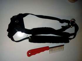 Freecycle Harness for small dog