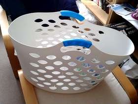 Freecycle Washing basket and pegs