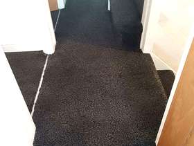 Freecycle Carpet Cleaning