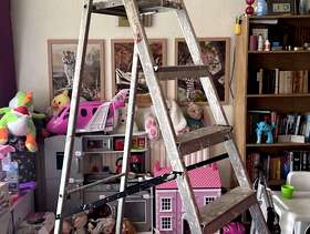 Freecycle 6ft ladder