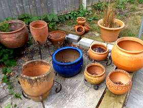 Freecycle Lilac wood for carving