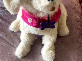 Freecycle Cookie the interactive puppy