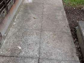Freecycle Paving Slabs