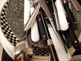 Freecycle Plates, cutlery. mugs. odds
