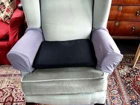 Freecycle Wing arm chair