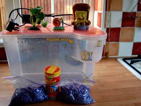 Freecycle Fish tank with accessories