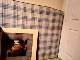 Freecycle Double Mattress