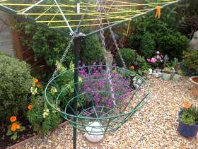 Freecycle Hanging Baskets