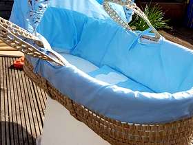 Freecycle Moses basket