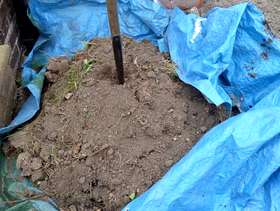 Freecycle Top Soil