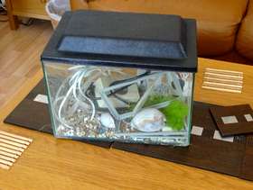 Freecycle "FREE" Small aquarium for collection only