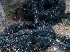 Freecycle Hedgehog brush for gutters