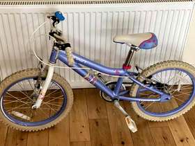Freecycle Girls 18” bike