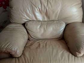 Freecycle Leather manual reclining armchair