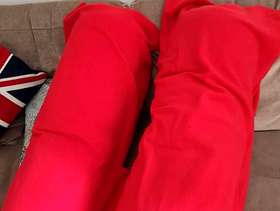 Freecycle 2 x large bolster cushions with felt removable covers