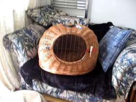 Freecycle Large 'Igloo style' Wicker Pet Carrier