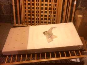 Freecycle Baby's cot good condition