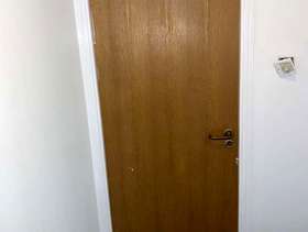 Freecycle Sold internal door
