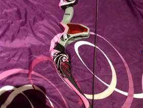 Freecycle Nerf rebelle bow & arrow