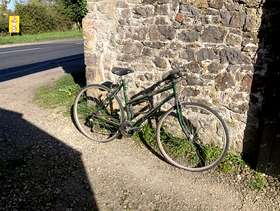 Freecycle Bicycle