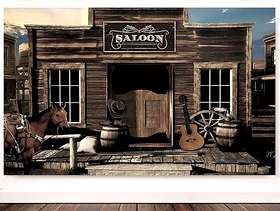 Freecycle Country & Western Party Props