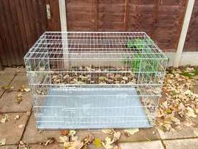 Freecycle Large collapsible two door metal pet crate