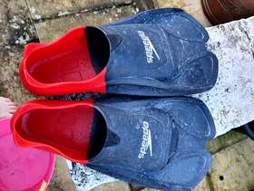Freecycle Speedo fins