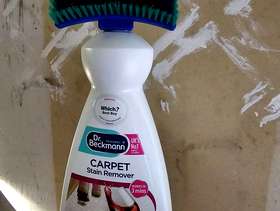 Freecycle Carpet stain remover
