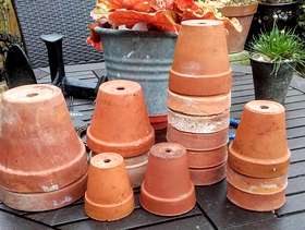 Freecycle 15 terracotta plant pots