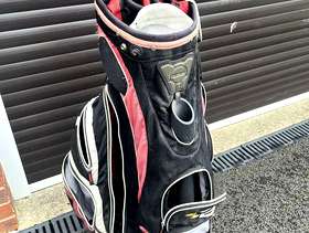 Freecycle Taylormade Golf Bag
