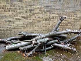 Freecycle Firewoods/bonfire