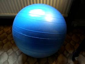 Freecycle Exercise ball