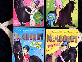 Freecycle Children's series of horse fiction books