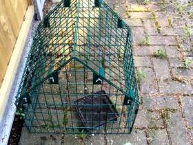 Freecycle Ground bird feeder and cage.