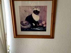 Freecycle Picture in frame
