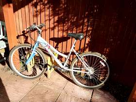 Freecycle Girls bike