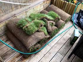 Freecycle 6 1/2 Roll Lawn/Turf
